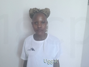 Uggal