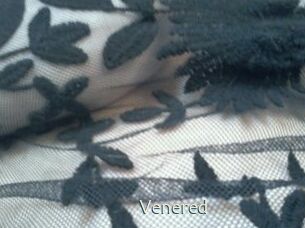 Venered 1 grosse chatte poilue