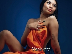 Vane_077