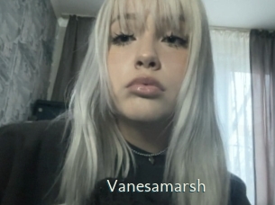 vanesamarsh 1 grosse chatte poilue