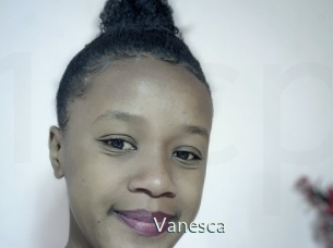 vanesca 1 grosse chatte poilue
