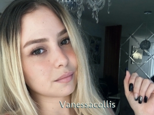 Vanessacollis