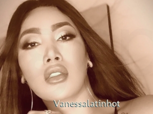 vanessalatinhot 1 grosse chatte poilue