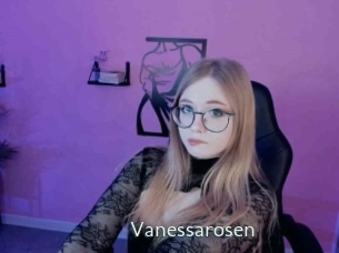 vanessarosen 1 grosse chatte poilue