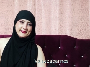 Vanezabarnes