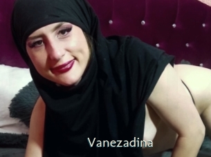 Vanezadina