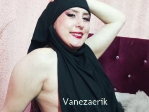 vanezaerik 1 grosse chatte poilue