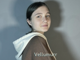 Vellumurr