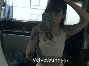 Velvetbunny97