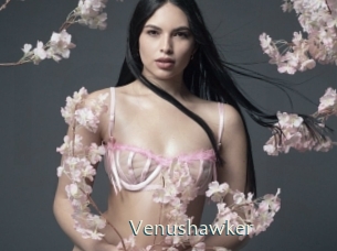 Venushawker