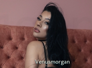 Venusmorgan