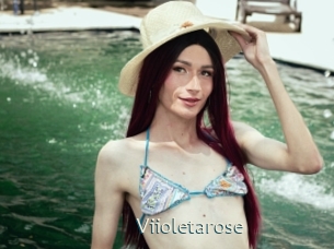 Viioletarose