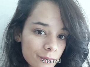 vilamid 1 grosse chatte poilue
