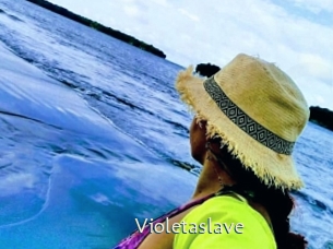 violetaslave 1 grosse chatte poilue