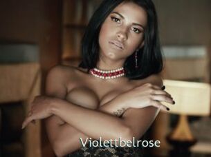 Violettbelrose