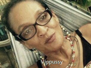 Vippussy