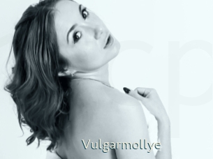 Vulgarmollye