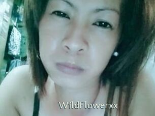 WildFlowerxx