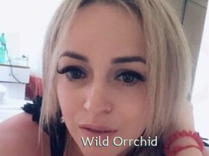 Wild_Orrchid