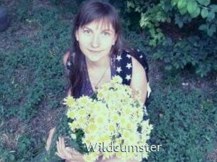 Wildcumster