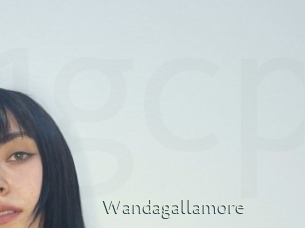 Wandagallamore