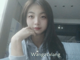 Wangzcxiang