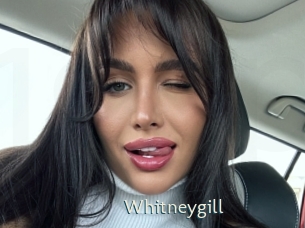 Whitneygill
