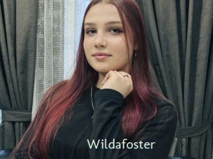 wildafoster 1 grosse chatte poilue