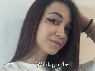 wildagambell 1 grosse chatte poilue