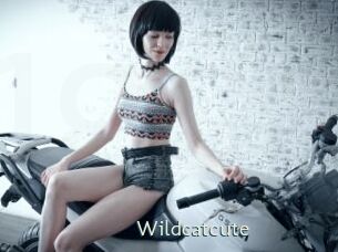 Wildcatcute