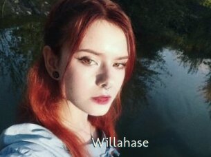 Willahase