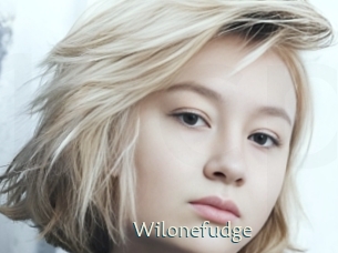 Wilonefudge