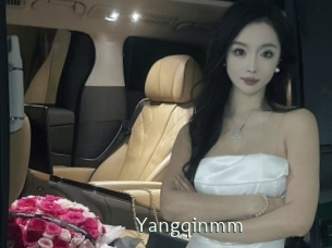 Yangqinmm