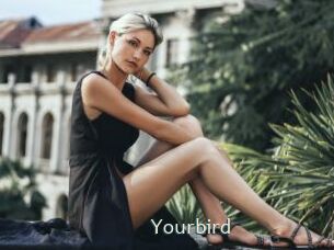 Yourbird