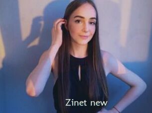 Zinet_new