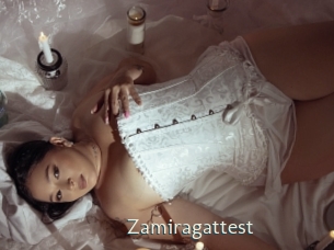 Zamiragattest