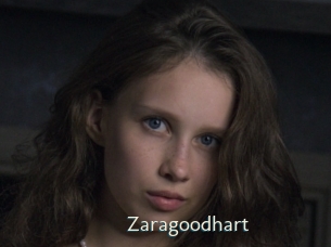 Zaragoodhart