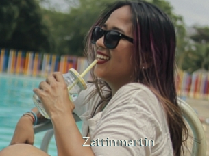 Zattinmartin