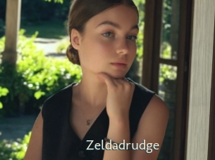 Zeldadrudge