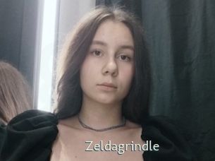 Zeldagrindle