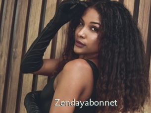 zendayabonnet 1 grosse chatte poilue
