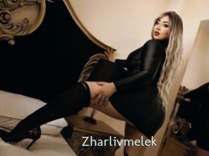 zharlivmelek 1 grosse chatte poilue