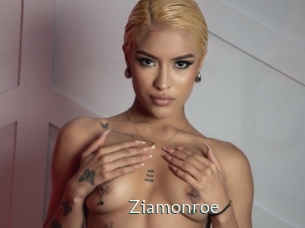 ziamonroe 1 grosse chatte poilue