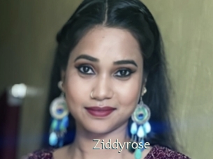 Ziddyrose