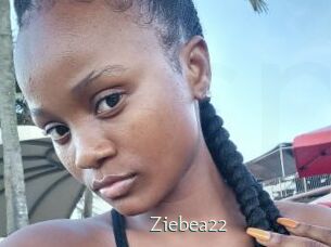 Ziebea22