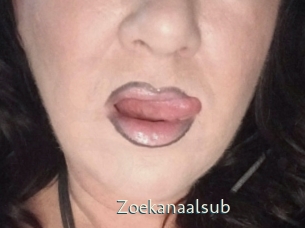 Zoekanaalsub
