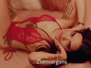 zoemorgans 1 grosse chatte poilue