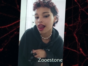 Zooestone