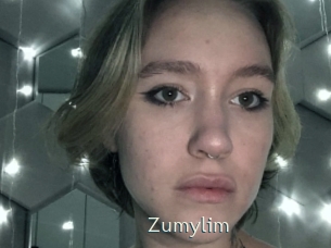 zumylim 1 grosse chatte poilue